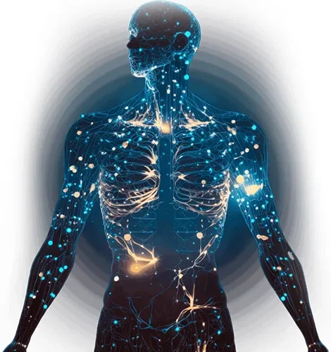 productcate-1-1 Why Are Physical Therapy Devices So Important?