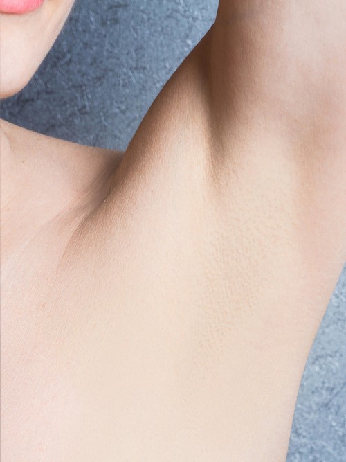 productcate-662-400 productcate-662-400
